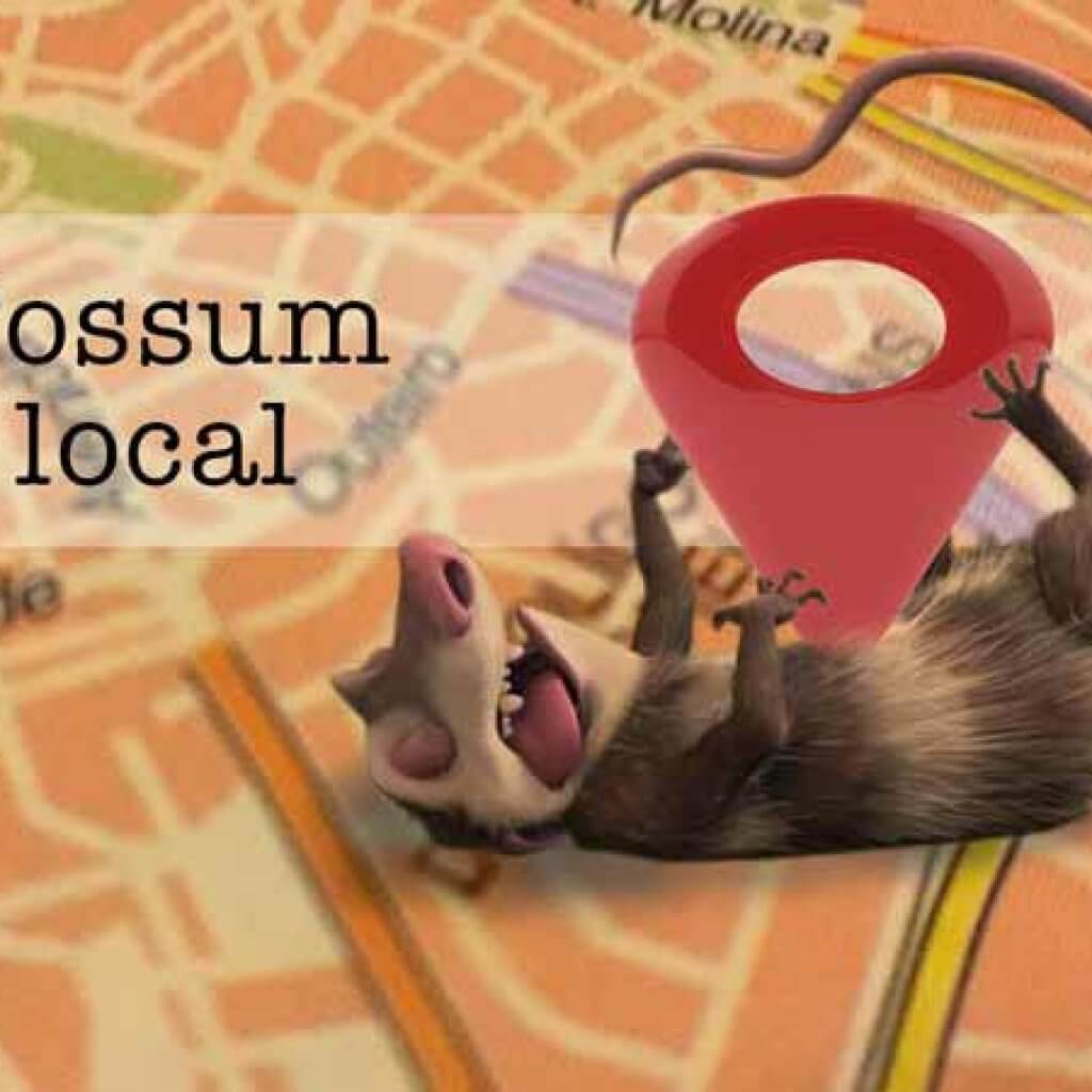 Google Possum y el SEO local